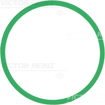713930300 Victor Reinz