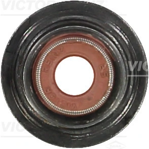 703439900 Victor Reinz