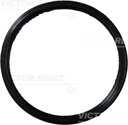 713713100 Victor Reinz