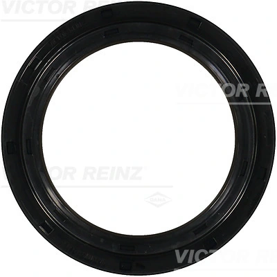 811047900 Victor Reinz