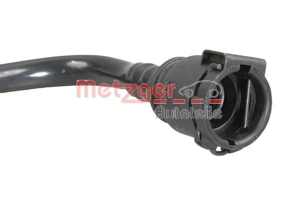 Mangueira (cano derivado) do sistema de esfriamento BMW 5 G31