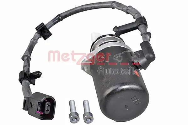 DS118613 Wahler Насос муфты Haldex
