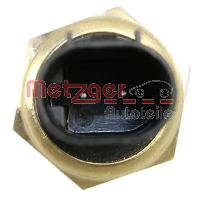 0905162 Metzger