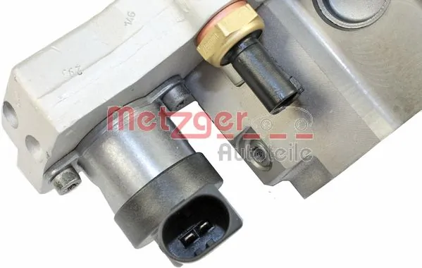 Bomba de combustível de pressão alta Citroen Xsara N0