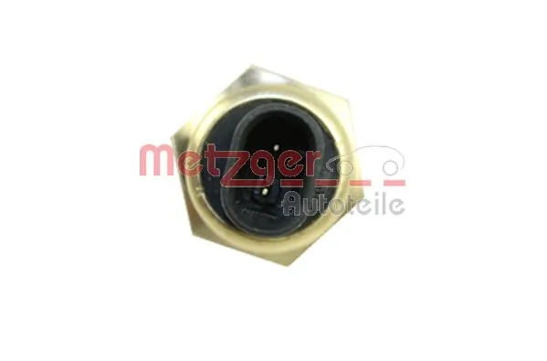 25186240 Peugeot/Citroen Термовыключатель