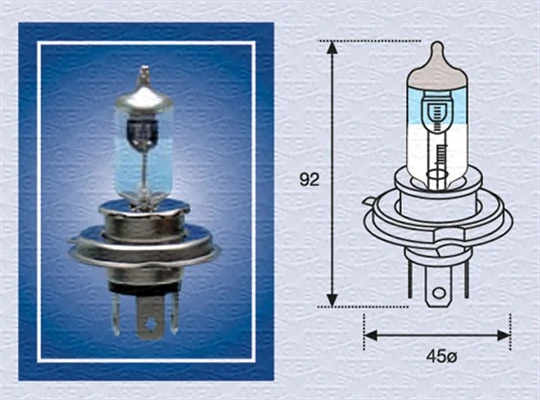 002585100000 Magneti Marelli