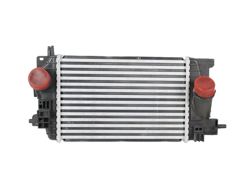 Купить 13283252 Peugeot/Citroen Интеркулер