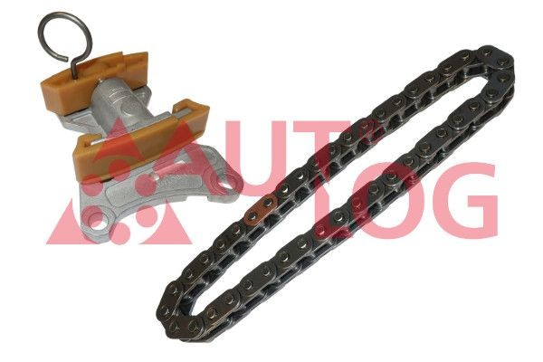 Купить Комплект цепи ГРМ Ауди А4 Avant B6 8E5