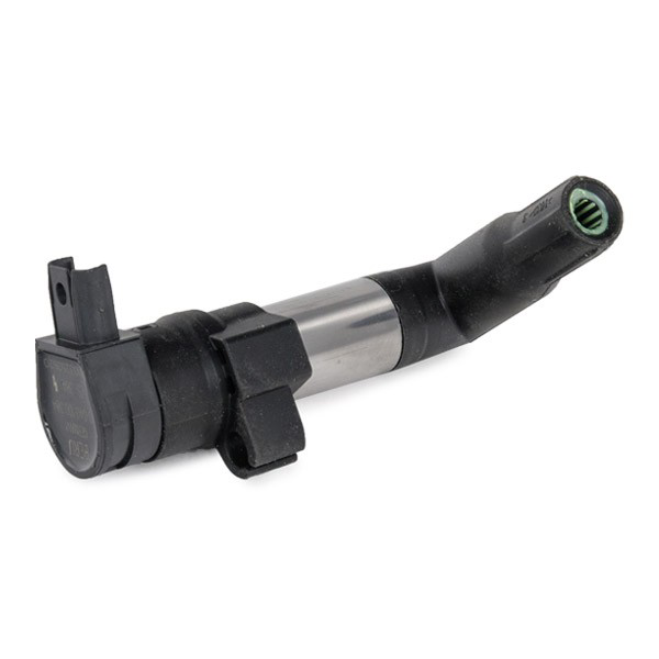 Катушка зажигания ZS384 Beru