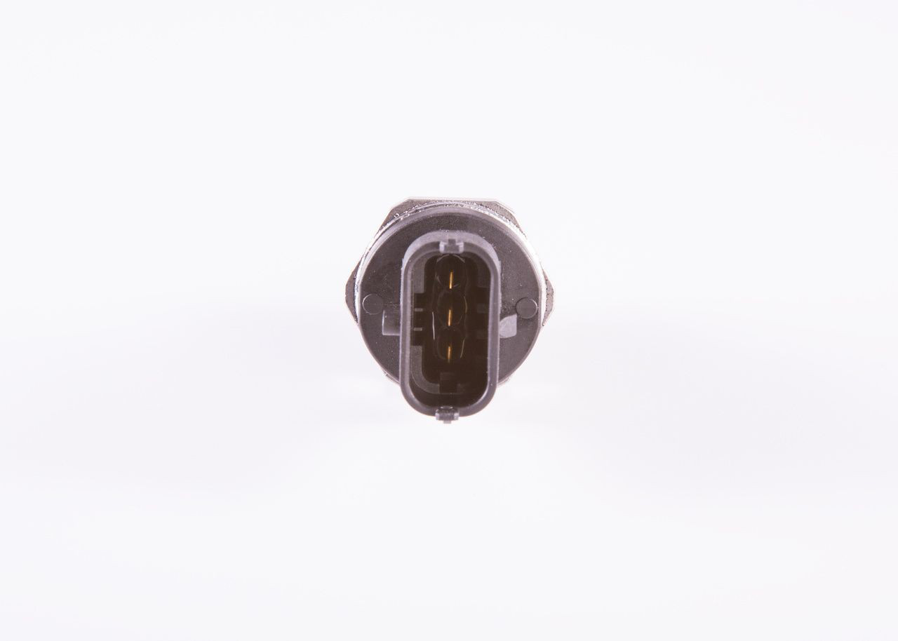 0281006165 Bosch Манометры