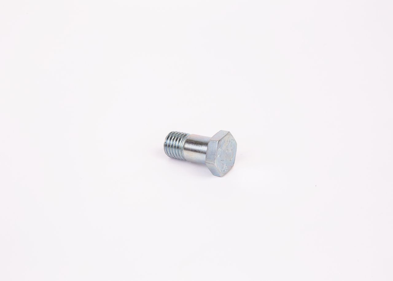 1463456344 Bosch Топливный перепускной клапан (болт банджо)