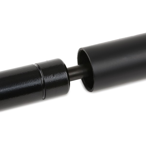 1467032010 Bosch Демпфер (амортизатор) ТНВД