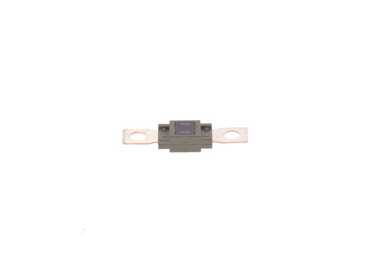 Предохранители 1987531007 Bosch