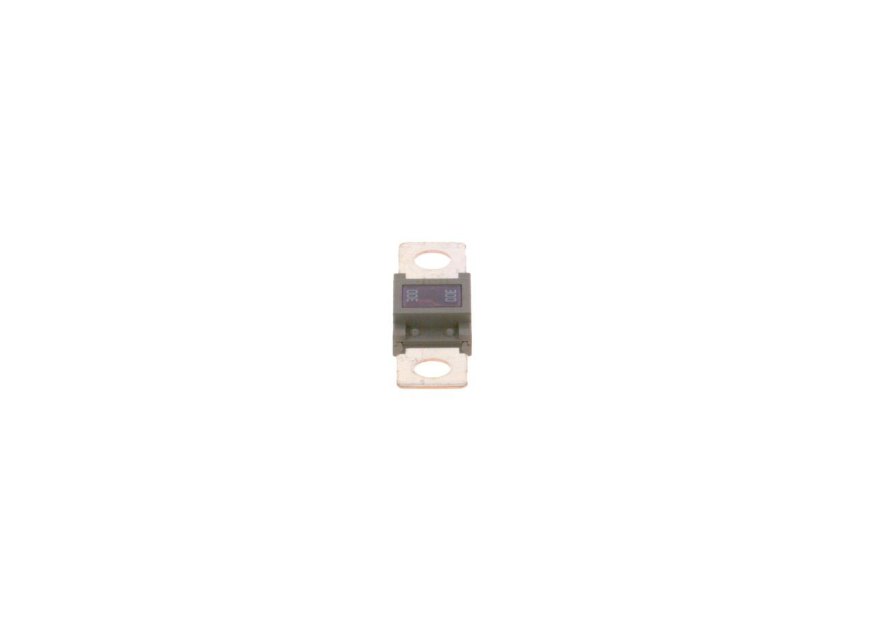Предохранитель Bosch 1987531007