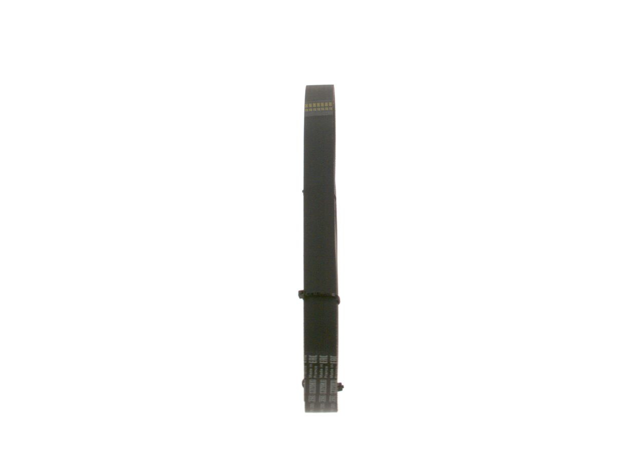 1987948487 Bosch Поликлиновый ремень