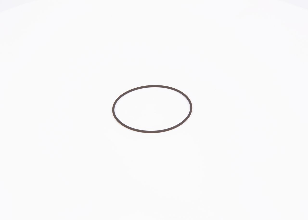 Кольцо форсунки F01M100371 Bosch