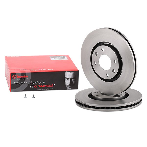 Передние тормозные диски 09876010 Brembo