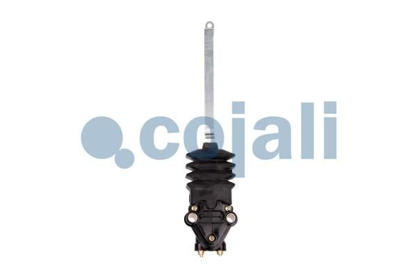  7420746483 Renault (RVI)