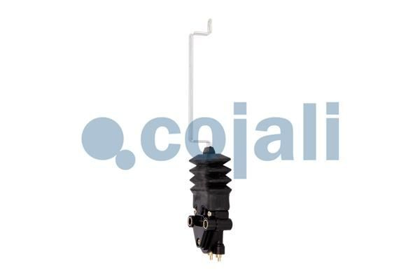  Renault (RVI) 7420746483