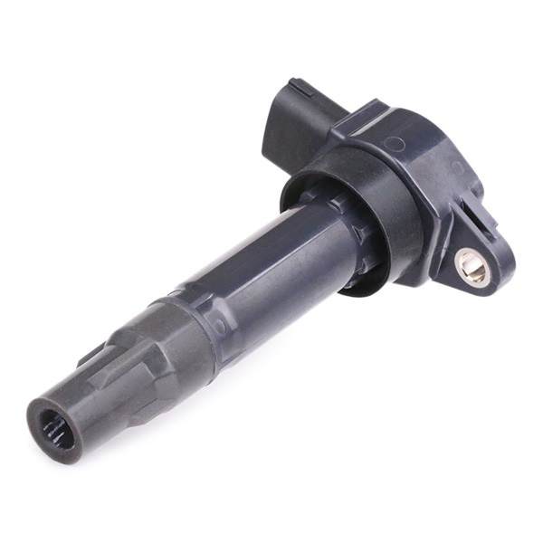 Купить GN1067412B1 Delphi Катушка зажигания