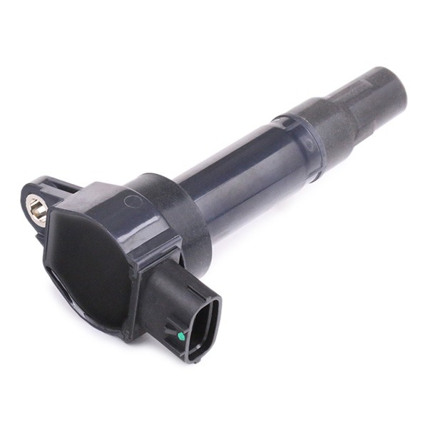 Модуль зажигания Delphi GN1067412B1 цена, от 33.19 USD