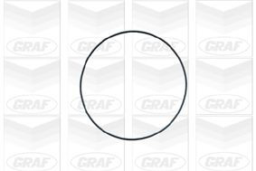 Помпа охлаждения Graf PA420A цена, от 31.85 USD