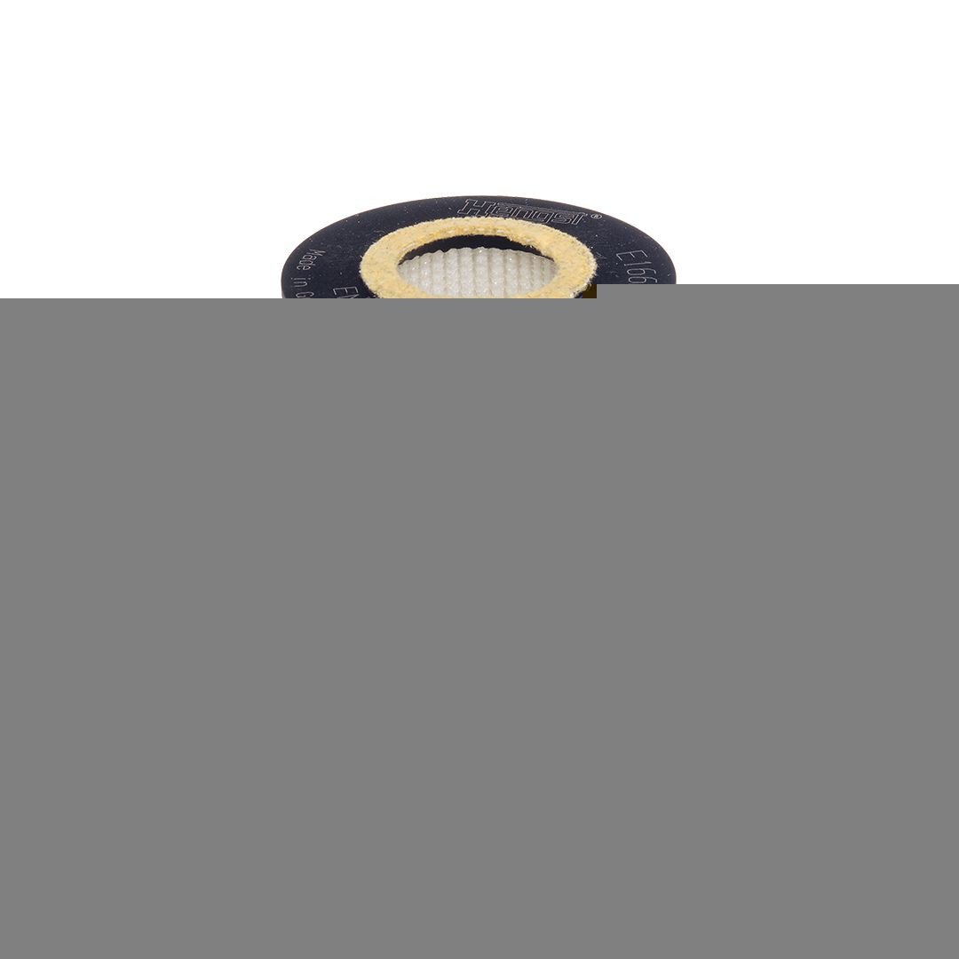Фильтр очистки масла центробежный Hengst E166HD538 цена, от 21.30 USD