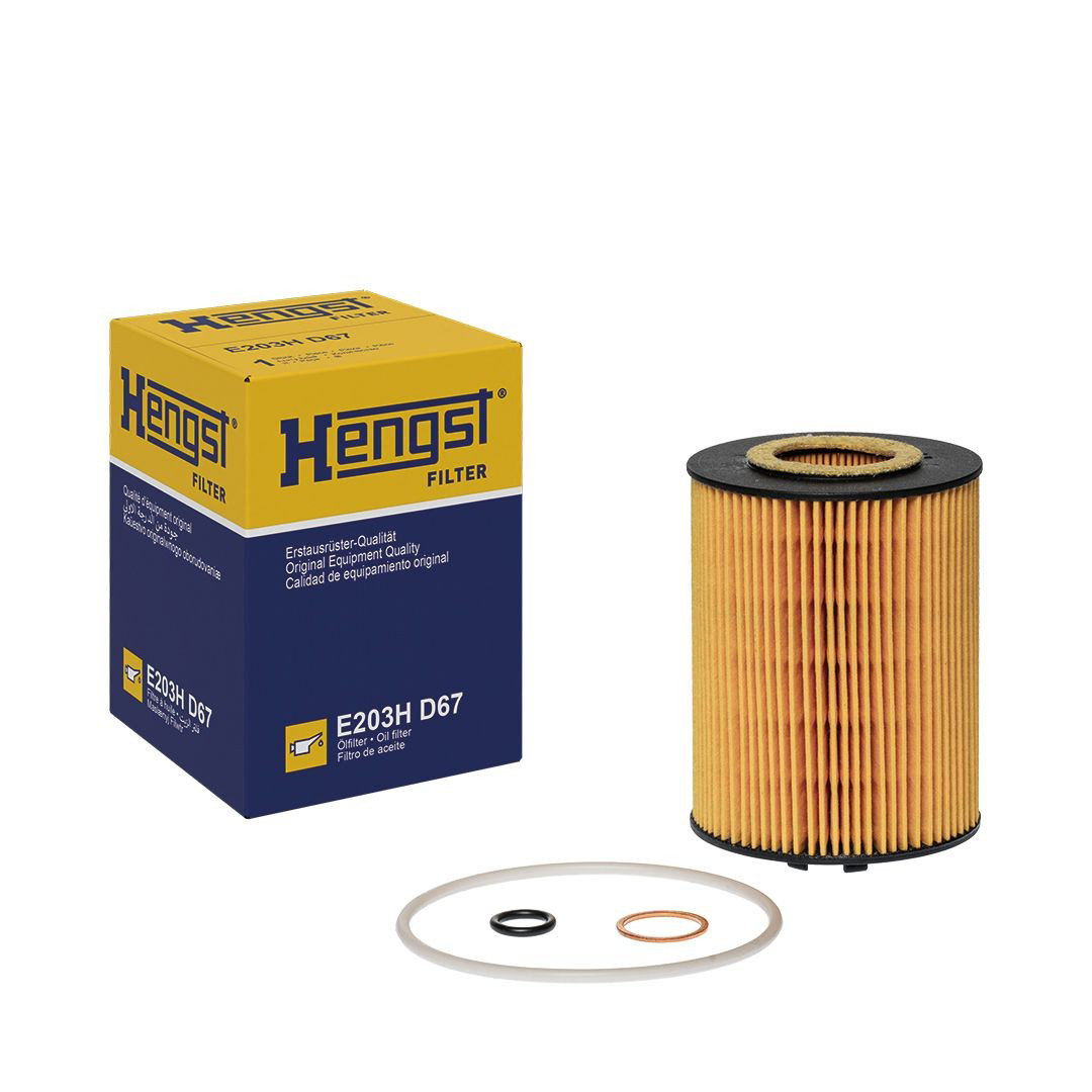 E203HD67 Hengst Масляный фильтр двигателя
