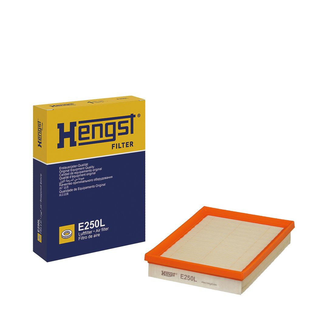 Элемент воздушного фильтра Hengst E250L цена, от 2.82 USD