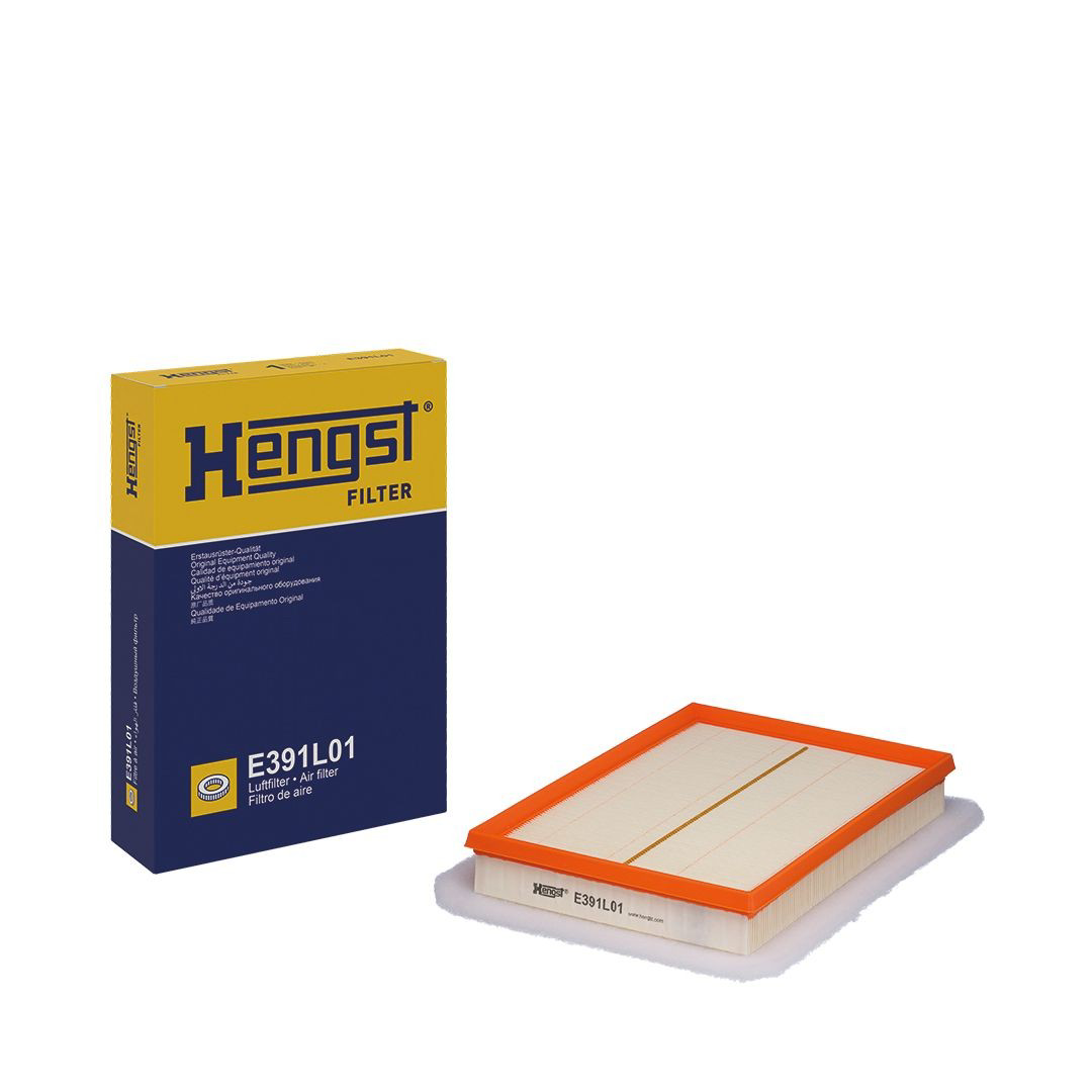 Элемент воздушного фильтра Hengst E391L01 цена, от 7.05 USD