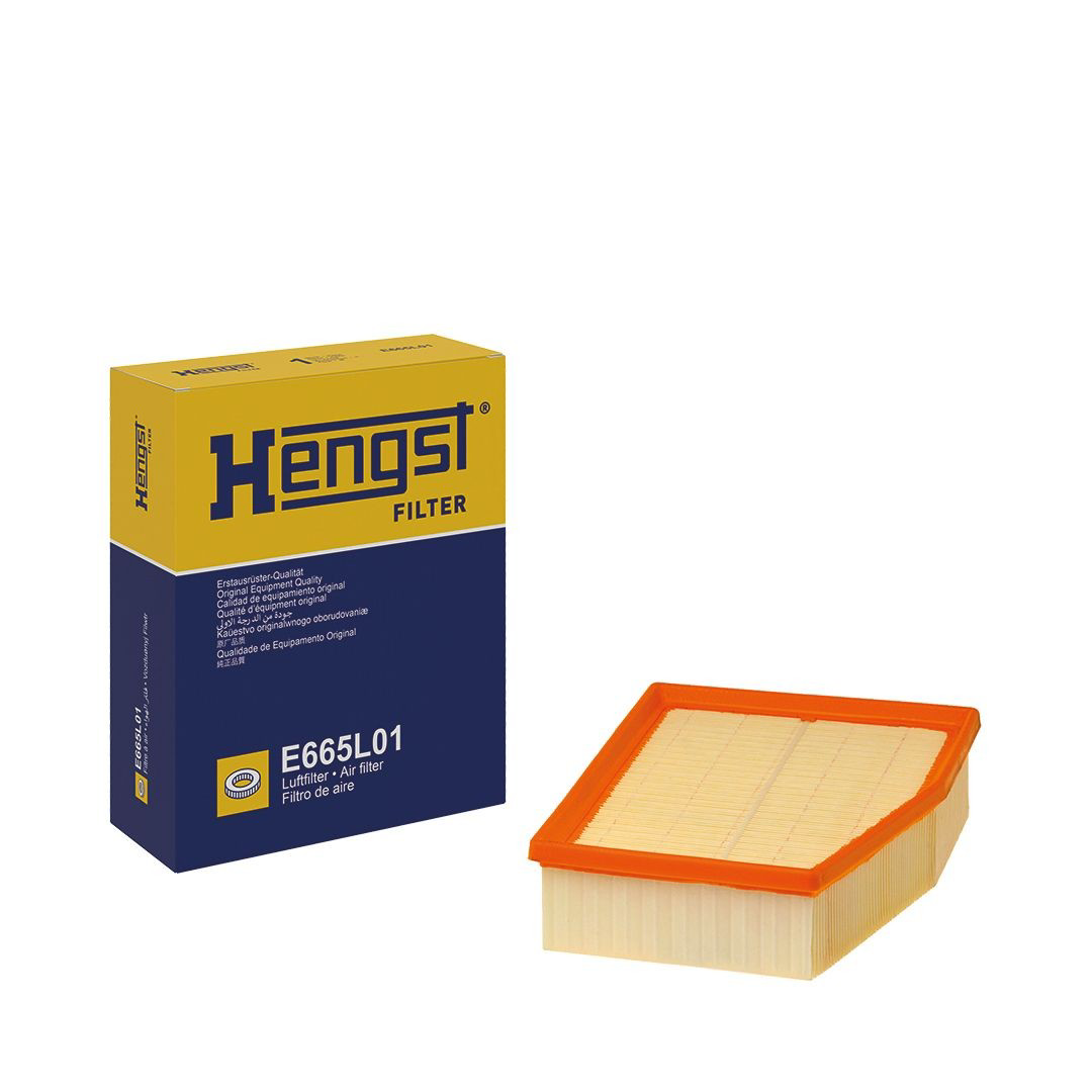 Элемент воздушного фильтра Hengst E665L01 цена, от 15.52 USD