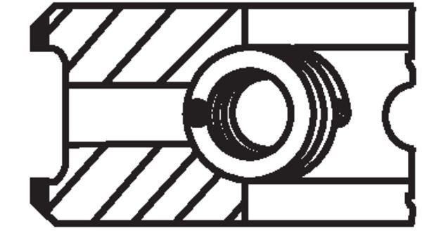 213RS101020V0 Mahle Original 