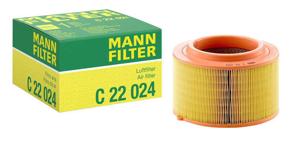Купить C22024 Mann-Filter Автомобильный фильтр воздуха