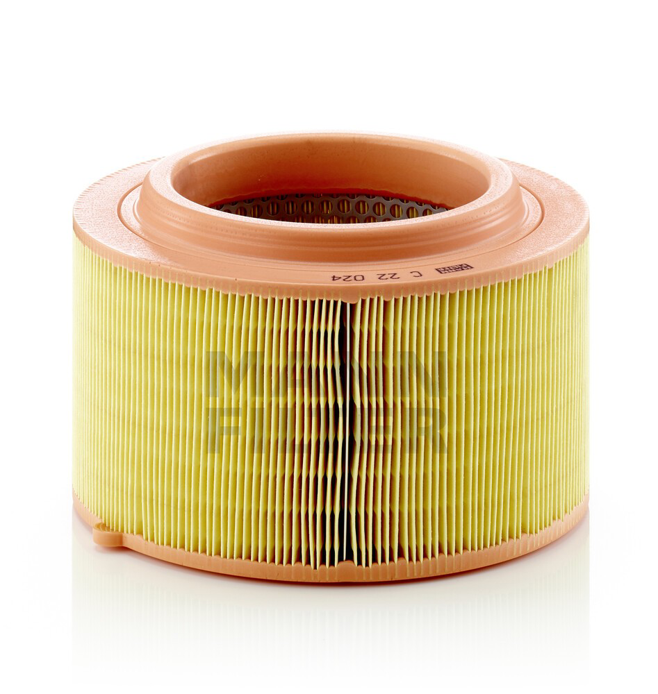 Элемент воздушного фильтра Mann-Filter C22024 цена, от 42.14 USD