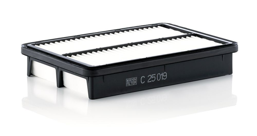 Купить C25019 Mann-Filter Автомобильный фильтр воздуха