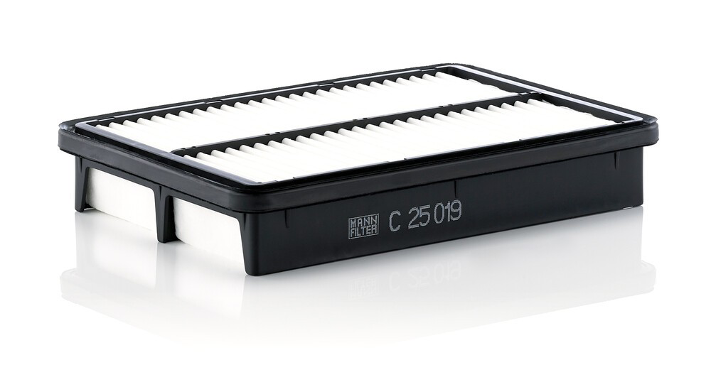 C25019 Mann-Filter Воздушный фильтр двигателя
