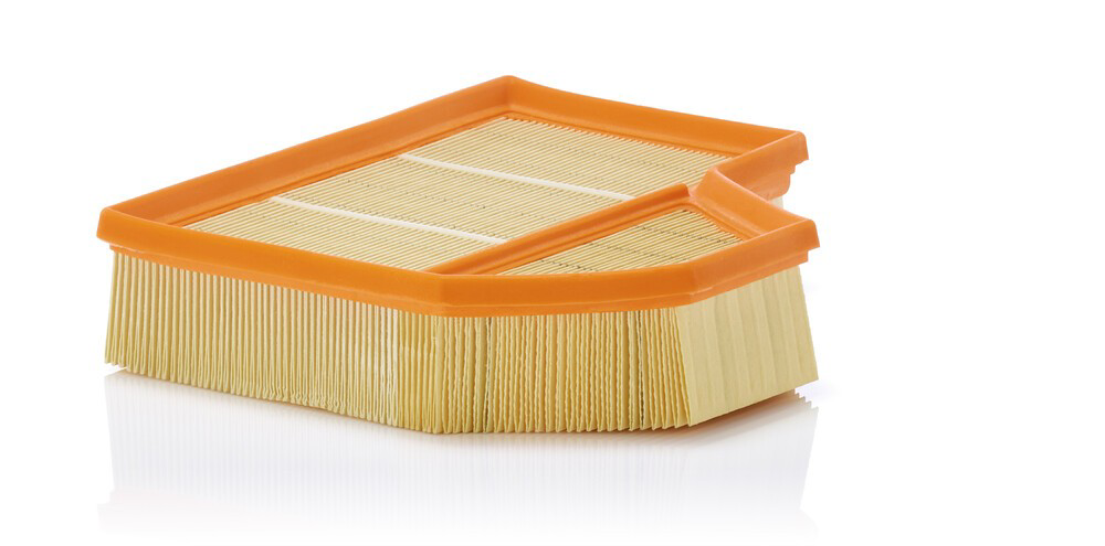 Элемент воздушного фильтра Mann-Filter C25111 цена, от 30.74 USD