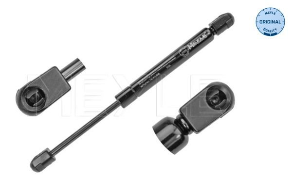 Амортизатор крышки багажника на Ford Focus II DB, FCH, DH