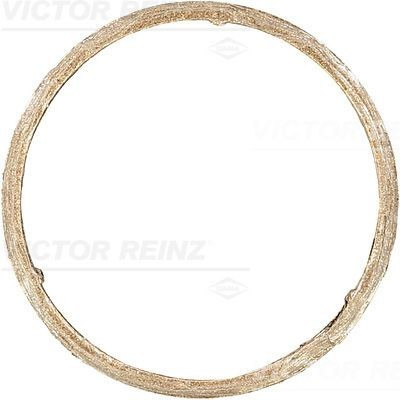 711139900 Victor Reinz Прокладка штанов