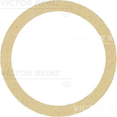 713424400 Victor Reinz Прокладка штанов