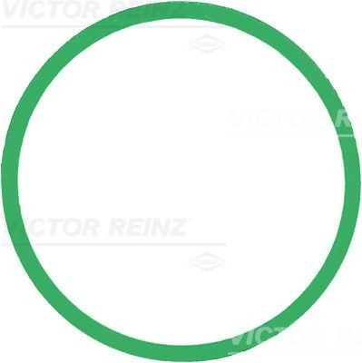 713930300 Victor Reinz  Прокладка впускного коллектора