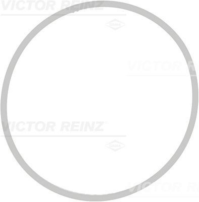 713940900 Victor Reinz  Прокладка впускного коллектора