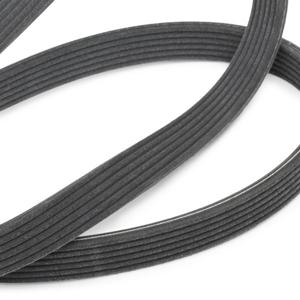 Купить VKMA31091 SKF Ремень приводной