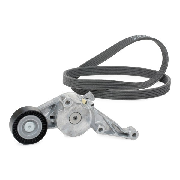 VKMA31091 SKF Ремень приводной, комплект