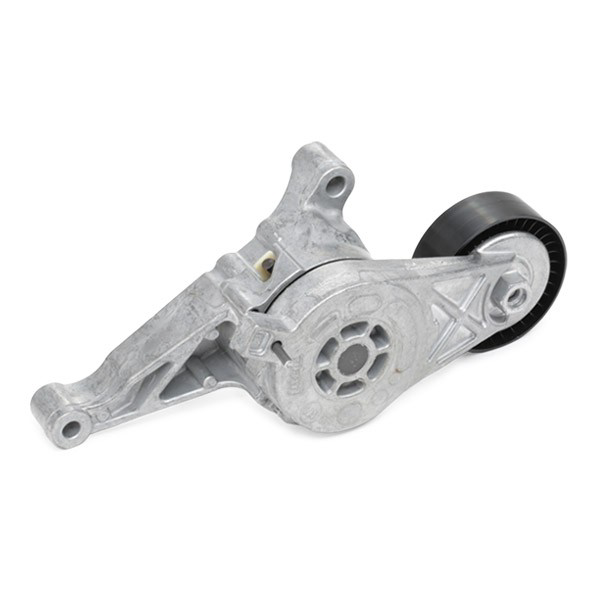 Ремень приводной VKMA31091 SKF