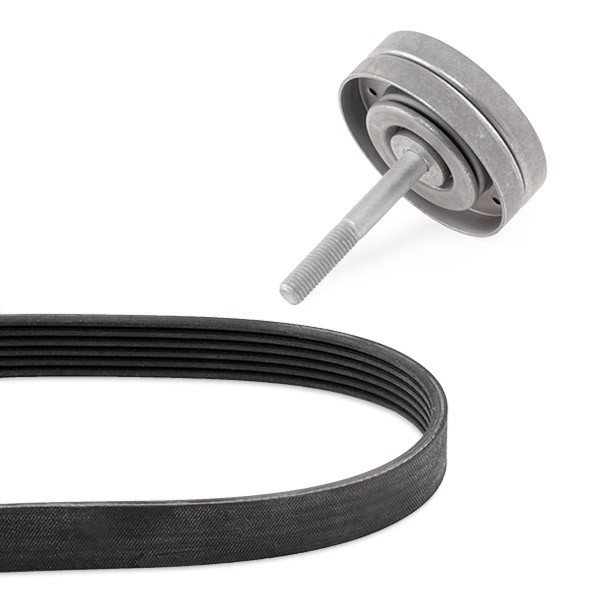 Ремень приводной VKMA31121 SKF