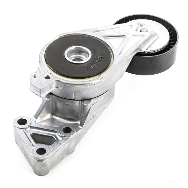 Ремень приводной VKMA31204 SKF