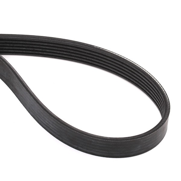 Ремень агрегатов приводной, комплект SKF VKMAF31054 цена, от 44.51 USD