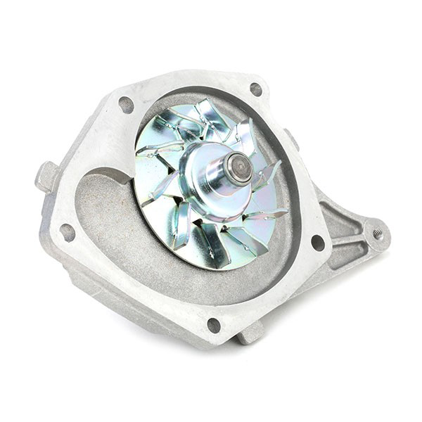 VKMC061341 SKF Комплект ремня ГРМ