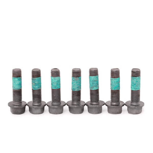Комплект ГРМ VKMC06604 SKF